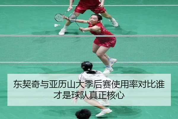 东契奇与亚历山大季后赛使用率对比谁才是球队真正核心（kaiyun）